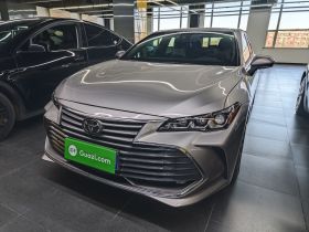 丰田 亚洲龙 2021款 2.5L 豪华版