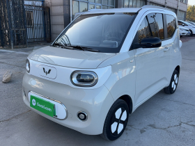 五菱汽车 宏光MINIEV 2024款 第三代 215km 进阶版