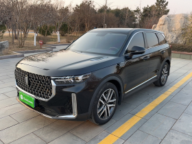 奔腾T99 2020款 20TD 自动尊享型