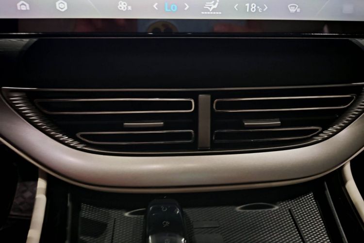 腾势D9 2024款 DM-i 980 四驱尊荣型中控内饰7004