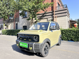 吉利银河 2025款 210km 熊猫骑士