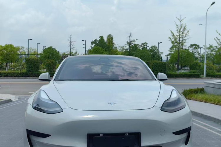 特斯拉 Model 3 2021款 改款 标准续航后驱升级版 3D1车身外观6006