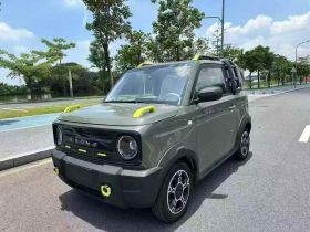 吉利银河 2025款 210km 熊猫骑士