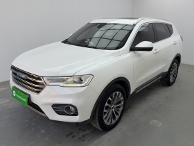哈弗H6 2017款 蓝标 2.0T 自动两驱智尚型