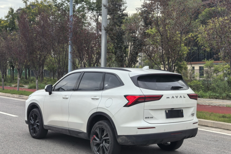 哈弗H6 2024款 2.0T 四驱Max车身外观6006