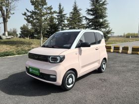 五菱汽车 宏光MINIEV 2022款 马卡龙臻享款 磷酸铁锂