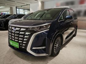 腾势D9 2024款 DM-i 980 四驱尊荣型