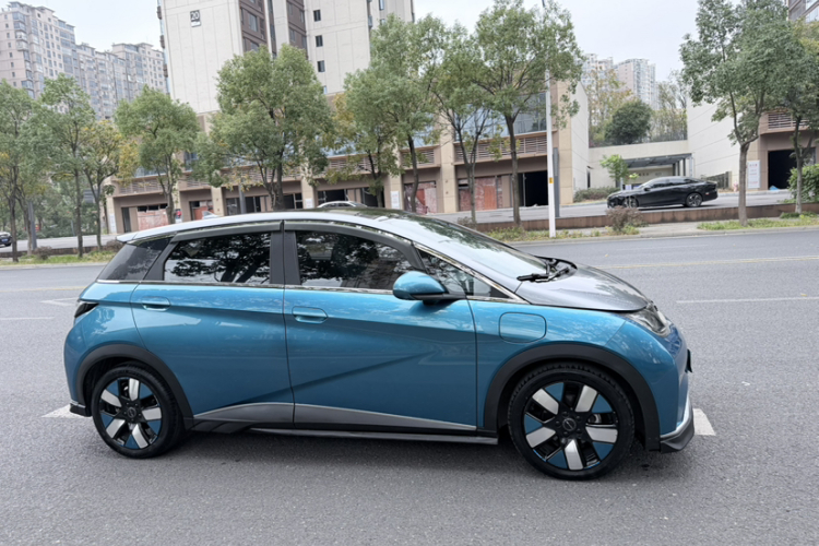 比亚迪 海豚 2021款 401km 骑士版车身外观6003