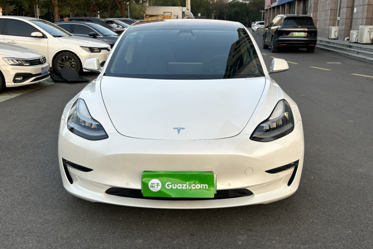 特斯拉 Model 3(进口) 2019款 长续航后驱版车身外观6006