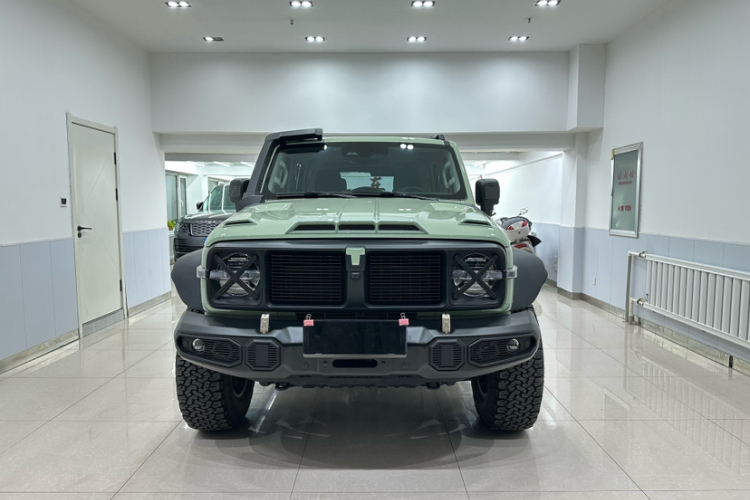 坦克300 2023款 2.0T 铁骑02车身外观6005