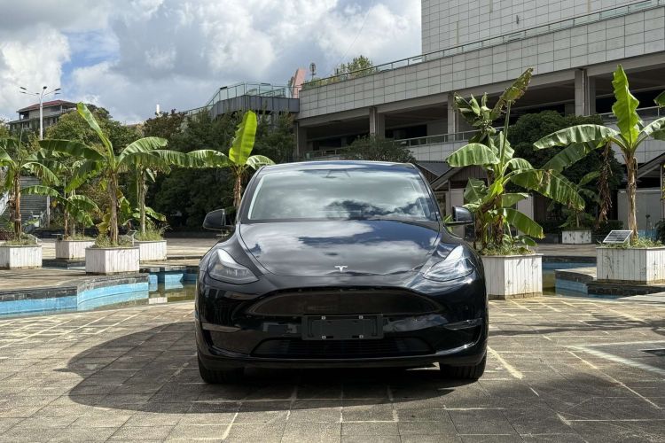 特斯拉 Model Y 2021款 标准续航后驱版车身外观6007