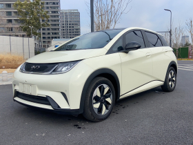 比亚迪 海豚 2024款 荣耀版 420km 时尚版