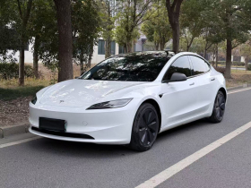 特斯拉 Model 3 2023款 长续航全轮驱动版
