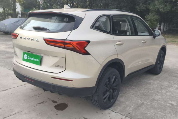 哈弗H6 2024款 1.5T 两驱Pro车身外观6007