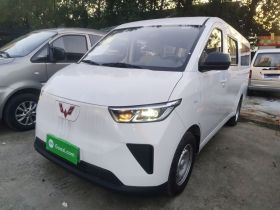 五菱汽车 五菱扬光 2024款 300KM 舒适型客车版 75kW
