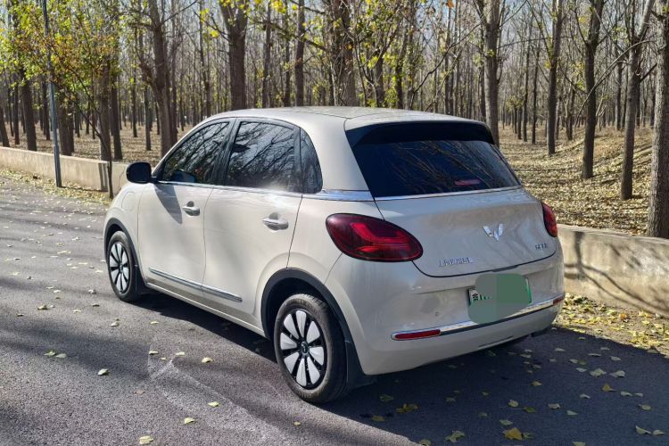 五菱汽车 五菱缤果 2024款 333km 悦享款车身外观6003