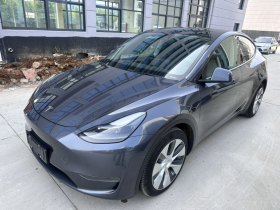 特斯拉 Model Y 2021款 长续航全轮驱动版
