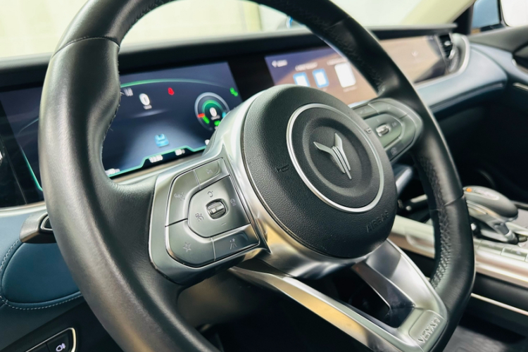 岚图汽车 岚图FREE 2021款 四驱标准增程专属豪华套装局部细节9001