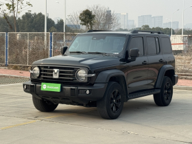 坦克300 2024款 2.0T 挑战者