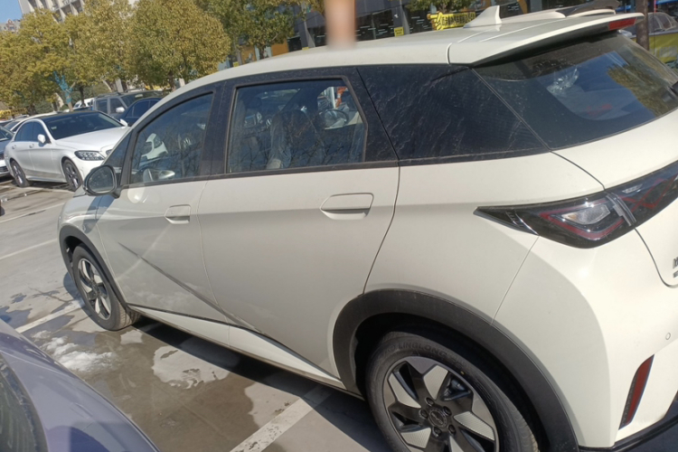 比亚迪 海豚 2025款 420km 自由版车身外观6003