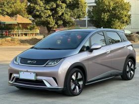 比亚迪 海豚 2021款 401km 骑士版