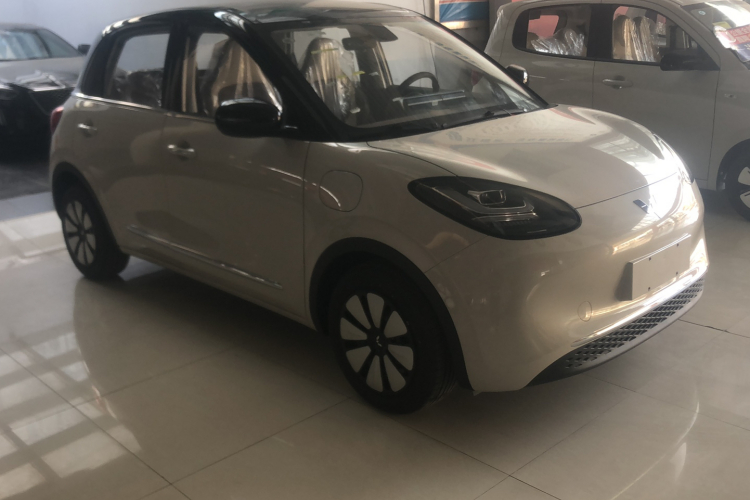 五菱汽车 五菱缤果 2025款 333km 悦享款车身外观6005