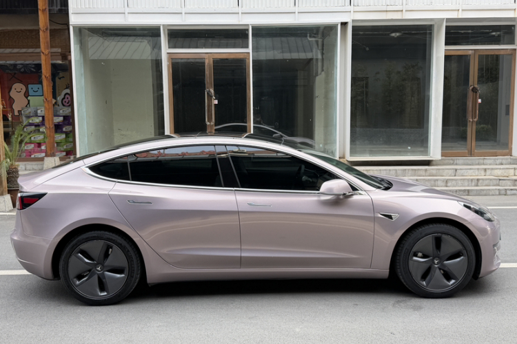 特斯拉 Model 3(进口) 2019款 长续航后驱版车身外观6008
