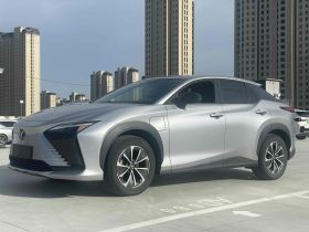 雷克萨斯RZ 2023款 450e 四驱纵行版