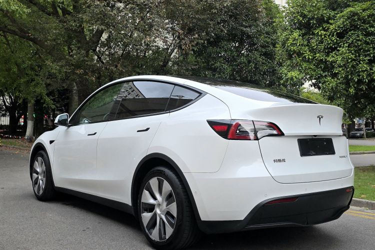 特斯拉 Model Y 2021款 长续航全轮驱动版车身外观6005