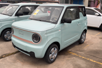 吉利银河 2024款 熊猫mini 200km 耐力熊