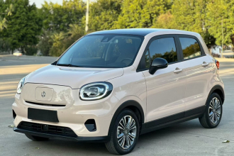 零跑汽车 零跑T03 2021款 400豪华版