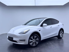 特斯拉 Model Y 2021款 改款 长续航全轮驱动版 3D5