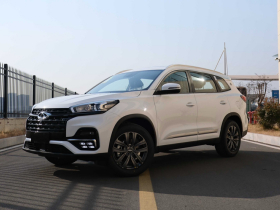 奇瑞 瑞虎8 2024款 1.5TCI 自动志远版 7座