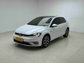 大众 高尔夫 2019款 280TSI DSG豪华型 国V