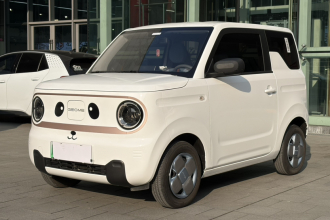 吉利银河 2024款 熊猫mini 200km 耐力熊