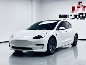 特斯拉 Model 3 2021款 标准续航后驱升级版