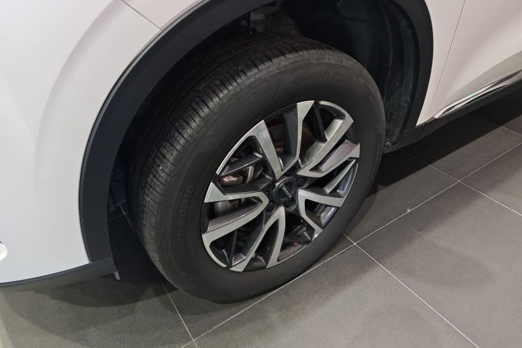 哈弗H6 2021款 第三代 1.5T 自动两驱Pro车身外观6005