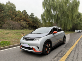 比亚迪 海豚 2021款 401km 骑士版