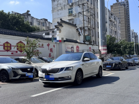 斯柯达 明锐 2019款 TSI230 DSG智行豪华版 国VI