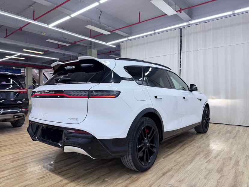 岚图汽车 岚图FREE 2025款 318 318km 后驱环游版(5)