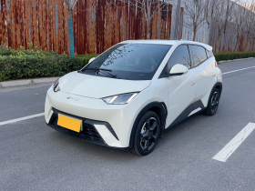 比亚迪 海鸥 2023款 飞翔版