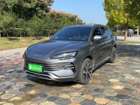 比亚迪 宋PLUS新能源 2023款 冠军版 DM-i 110KM 旗舰PLUS