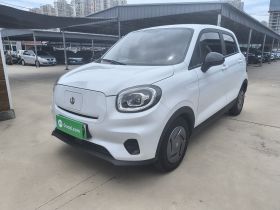 零跑汽车 零跑T03 2024款 200轻享版