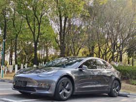 特斯拉 Model 3 2020款 长续航后轮驱动版