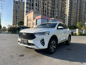 哈弗F7x 2019款 1.5T 两驱极智潮玩版