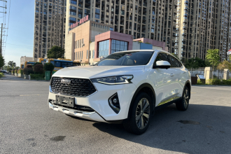 哈弗F7x 2019款 1.5T 两驱极智潮玩版