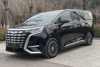 腾势D9 2024款 DM-i 1050 尊享型