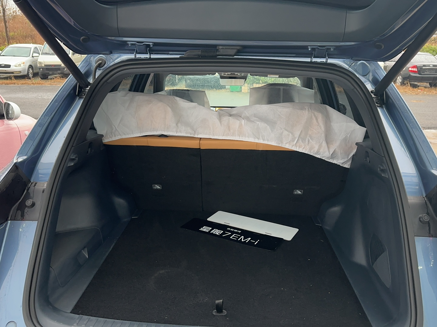 车300二手车图片