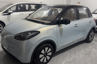 五菱汽车 五菱缤果 2025款 333km 灵犀尊享款