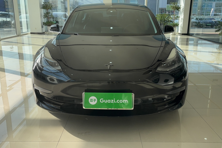 特斯拉 Model 3 2020款 长续航后轮驱动版车身外观6001